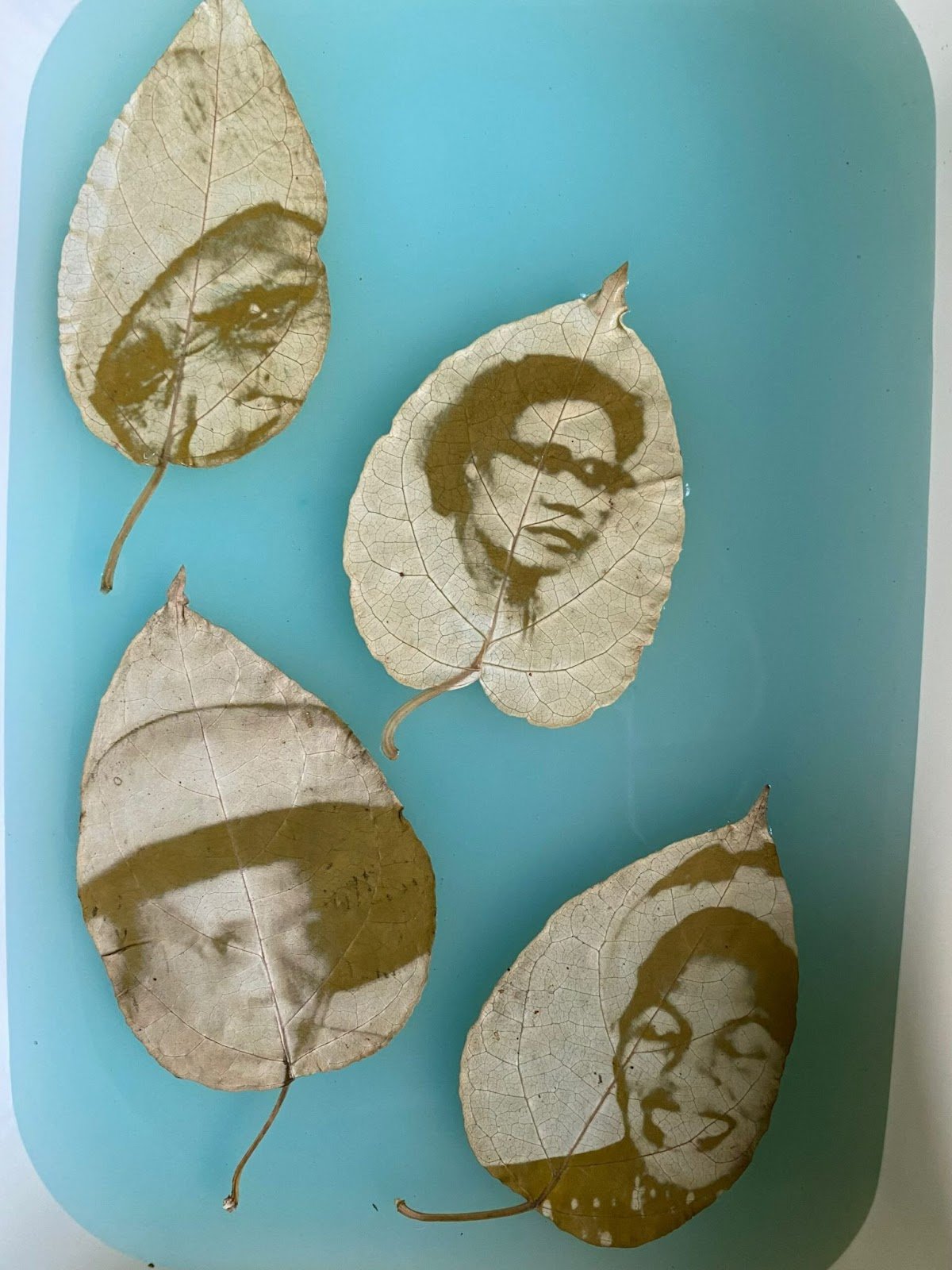 Pascale Marthine Tayou, Plastic Tree