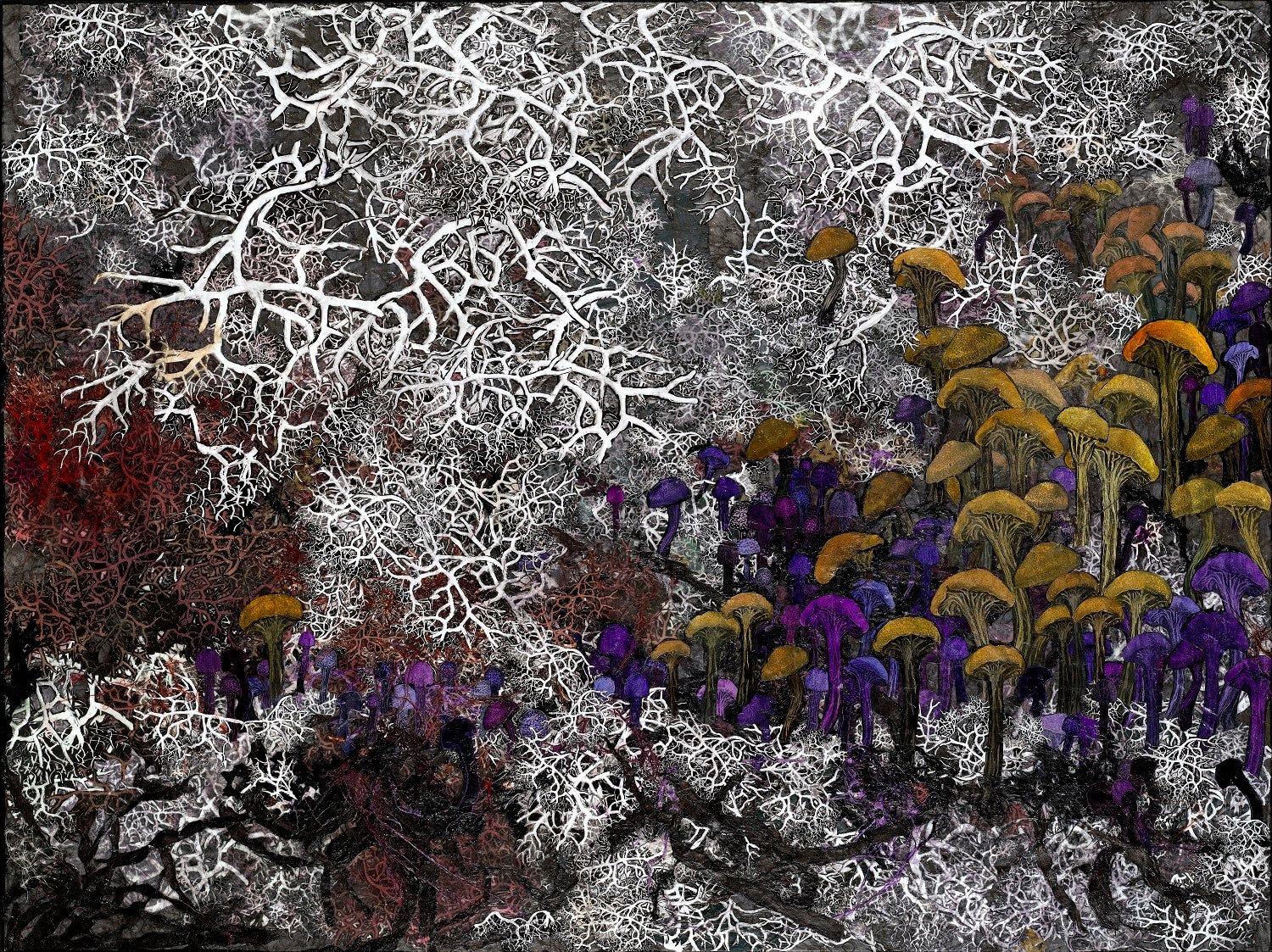 Rosemary Feit Covey 'Amethyst Deceivers II'