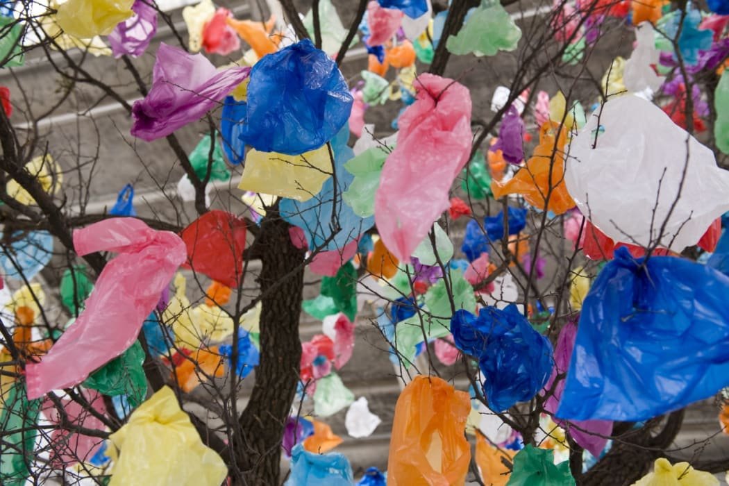 Echoes of Resilience: African Artists and Ecological Consciousness