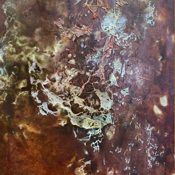 Visceral Organ 3