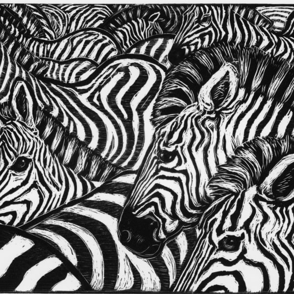 Zebras
