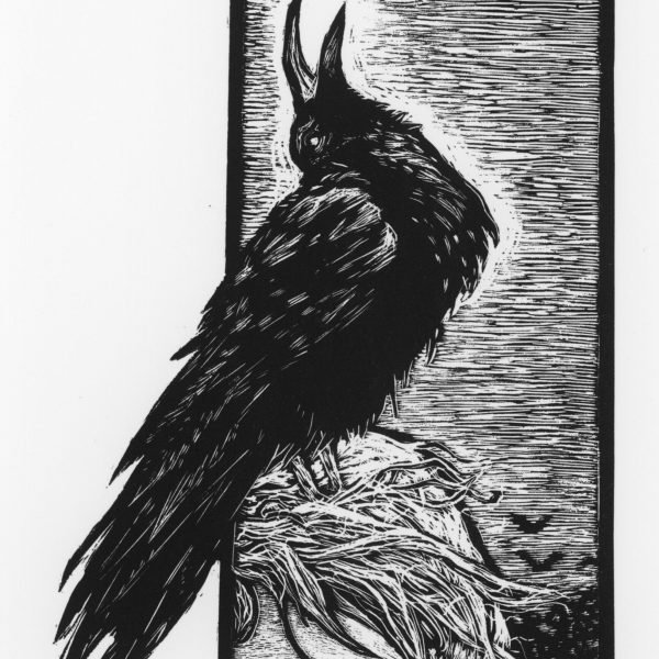 Bird Boy