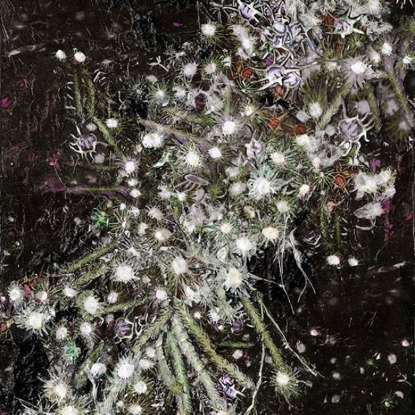 Panspermia